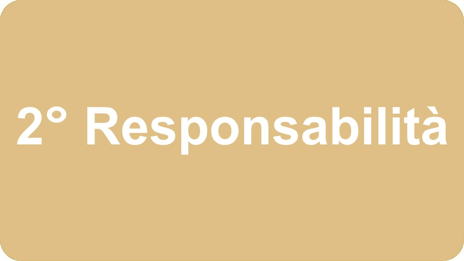 responsabilita